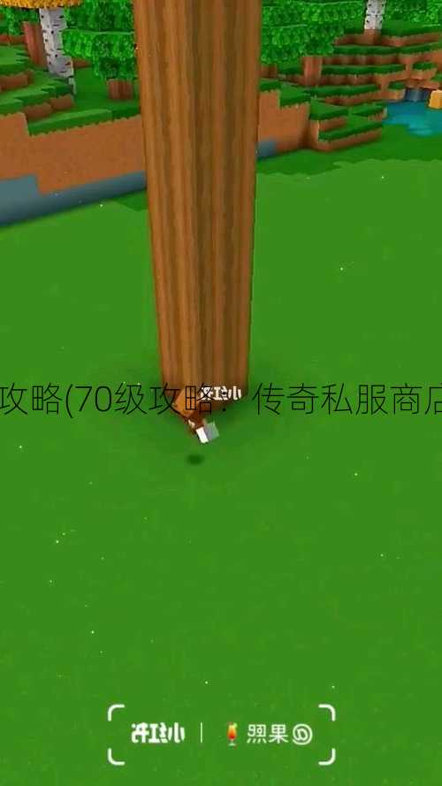 传奇私服商店70级攻略(70级攻略：传奇私服商店解密！) | 学会了吗