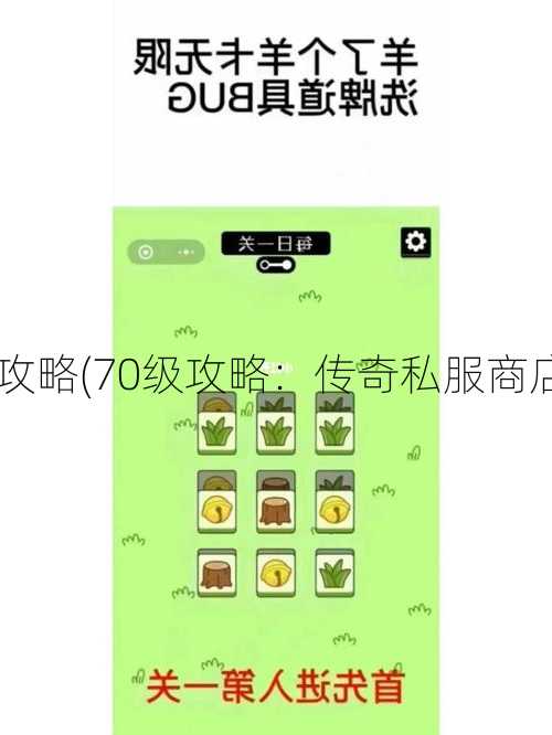 传奇私服商店70级攻略(70级攻略：传奇私服商店解密！) | 学会了吗