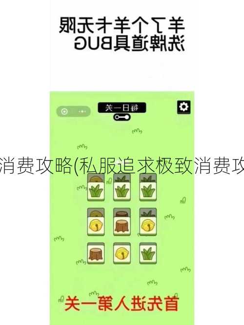 传奇私服来了消费攻略(私服追求极致消费攻略) | 学会了吗