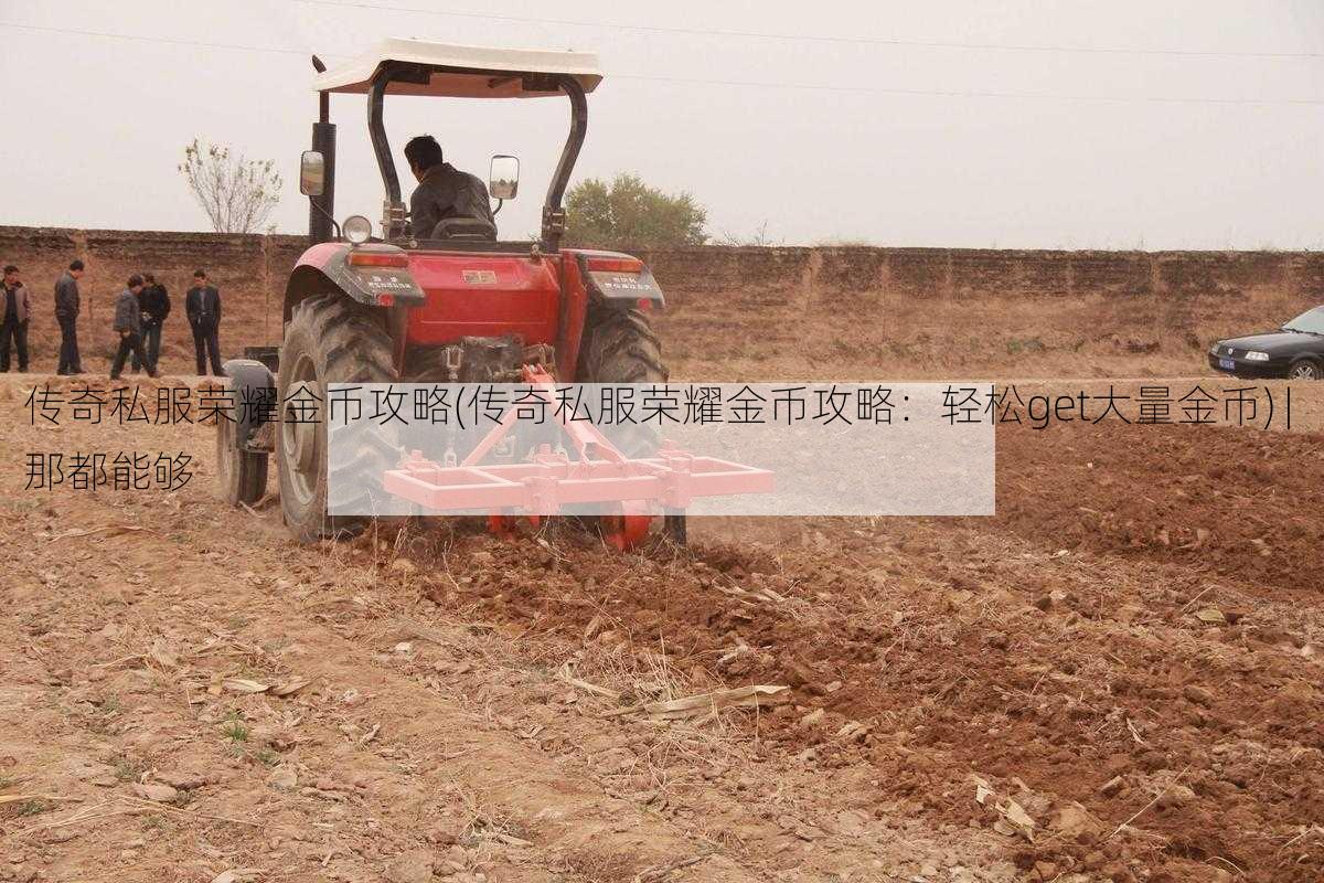 传奇私服荣耀金币攻略(传奇私服荣耀金币攻略：轻松get大量金币) | 那都能够