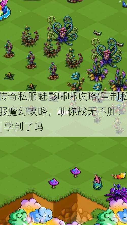 传奇私服魅影嘟嘟攻略(重制私服魔幻攻略，助你战无不胜！) | 学到了吗