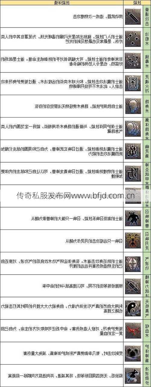 教程：传世战士技能详解