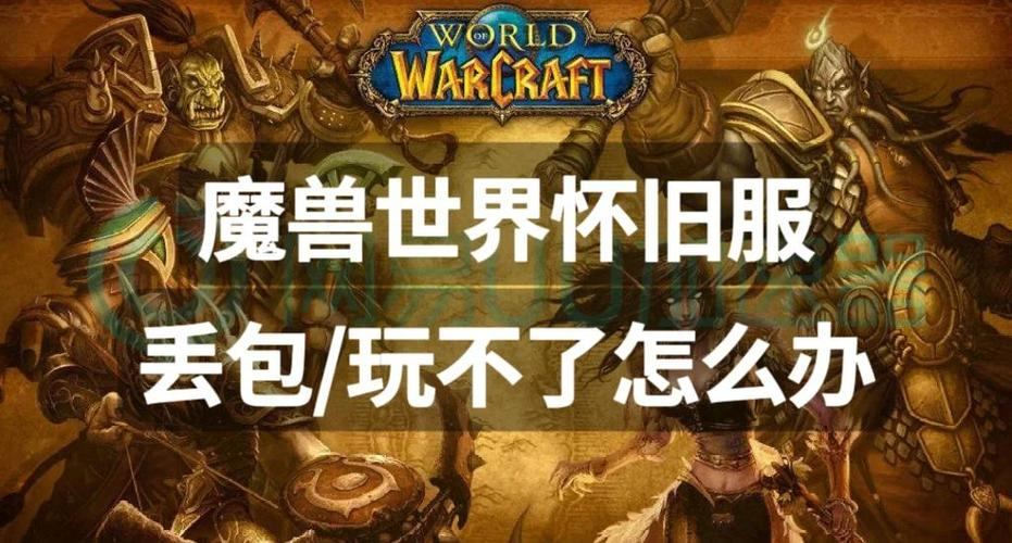 聊聊魔兽世界私服那些事儿：安全隐患与卡顿问题你知道吗？