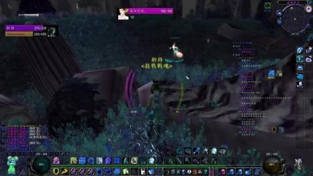 玩诛仙私发网常遇问题？一文带你搞清它到底是什么