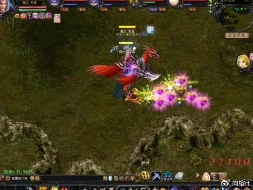 魔域私服风险大揭秘：非官方运营，玩家隐私安全无保障