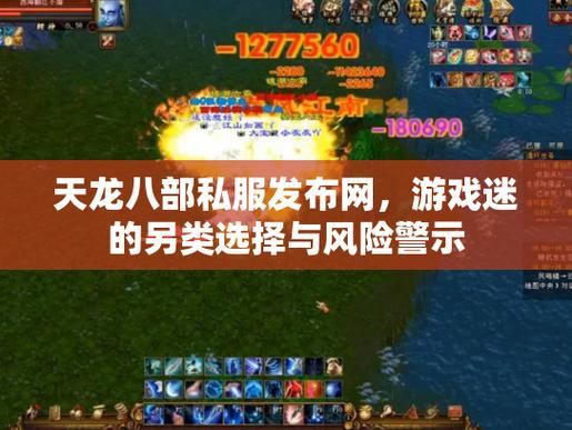 天龙八部私服攻略：升级快、爆率高，但风险知多少？