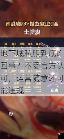 地下城私服到底咋回事？不受官方认可，运营随意还可能违规