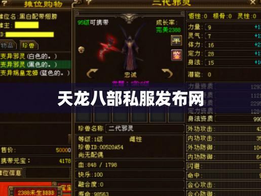 天龙八部SF怎么找？私服玩法全解析，新手必看  第4张