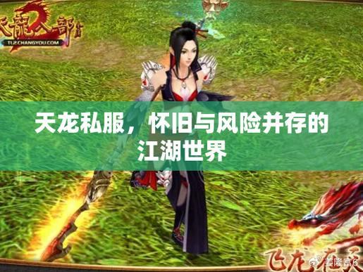 天龙八部公益私服:版本多样、玩法丰富,快来体验 第2张 天龙八部公益私服:版本多样、玩法丰富,快来体验 第2张