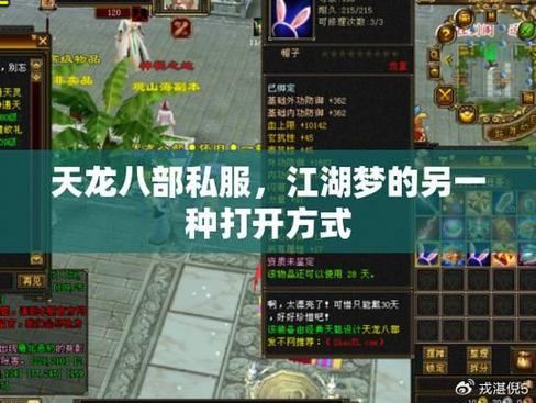 天龙sf全攻略：精美画面、自由玩法带你畅游江湖