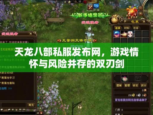 资深玩家分享：如何搭建稳定热闹的天龙八部私服发布网