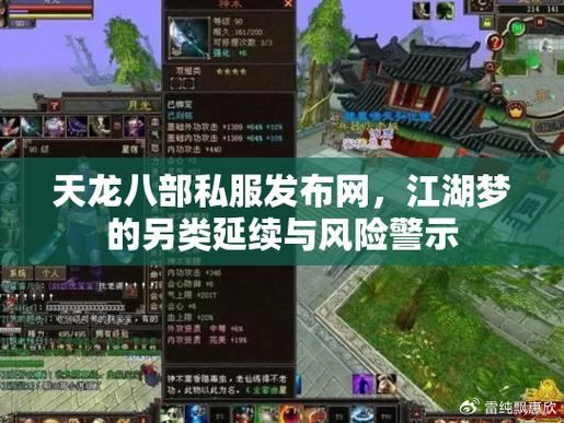 天龙八部私服那些事：资源、风险与正版差距解析