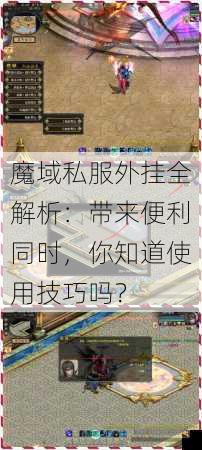 魔域私服外挂全解析:带来便利同时,你知道使用技巧吗? 第2张 魔域私服外挂全解析:带来便利同时,你知道使用技巧吗? 第2张
