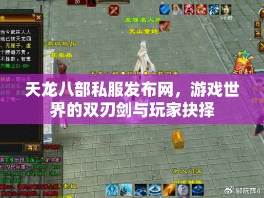 天龙私服对比评测：江湖、剑指、九州、殿堂私服，哪个更适合你？