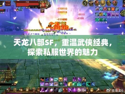 天龙私服：探索武侠世界、多样化玩法与刺激战斗的乐趣  第4张