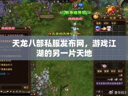 【天龙八部私服发布网】自由定制高自由度，探索更多游戏内容与玩法  第4张