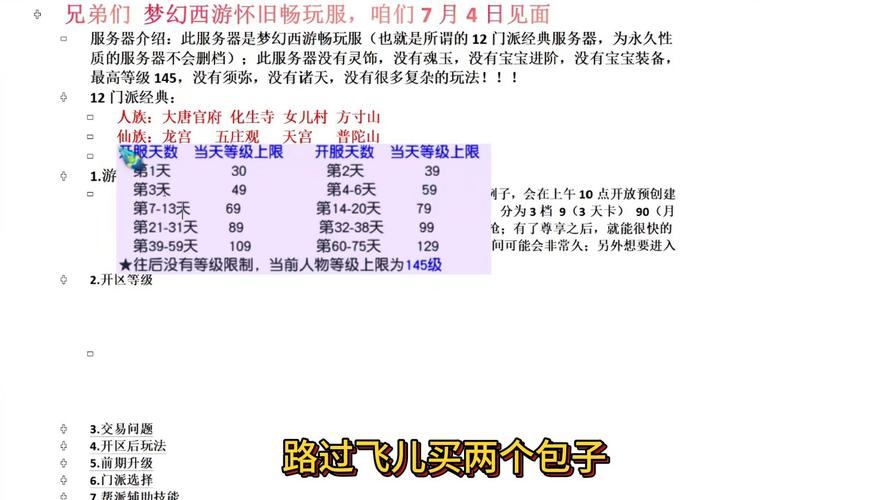 梦幻西游私服攻略：必看注意事项与规避风险