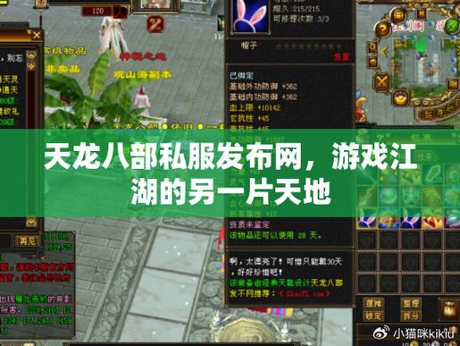 天龙八部私服发布网：如何选择私服？优缺点分析与下载指南