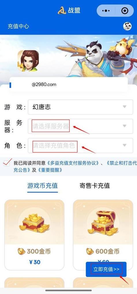 完美世界私服能玩吗？玩家角度剖析私服门道与风险