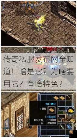 传奇私服发布网全知道！啥是它？为啥要用它？有啥特色？