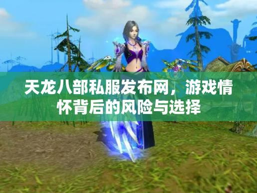 天龙八部私服体验：非官方游戏的风险与吸引力分析