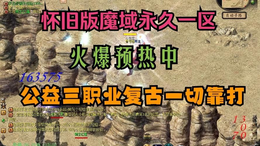 魔域私服外挂大揭秘：自动打怪、寻路外挂等种类全解析