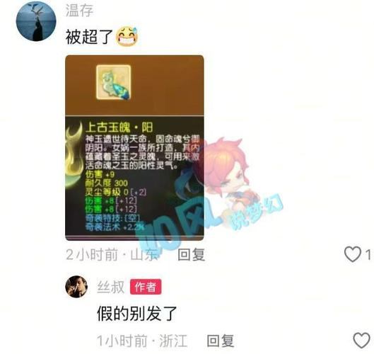 梦幻西游私服风险大揭秘：安全漏洞、违法侵权与玩家警示  第4张