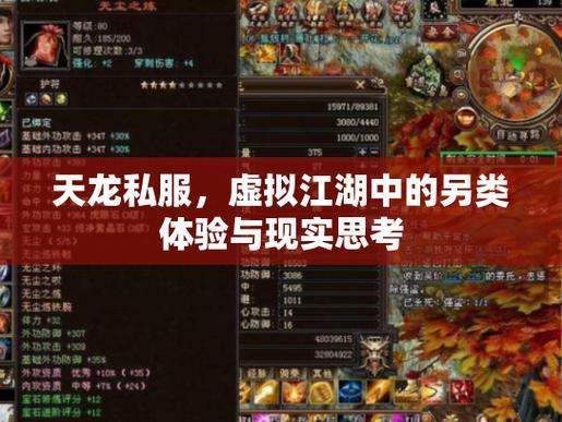 天龙八部sf私服解析：游戏体验提升与官方版本对比