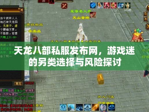 天龙八部sf私服解析：游戏体验提升与官方版本对比  第4张