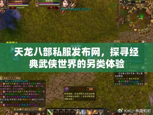 天龙八部私服发布网玩法技巧,助老玩家开启新武侠征程 第4张 天龙八部私服发布网玩法技巧,助老玩家开启新武侠征程 第4张