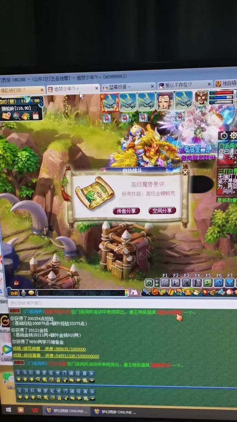 梦幻西游私服是啥？想搞不一样玩法的看这里！门道超复杂