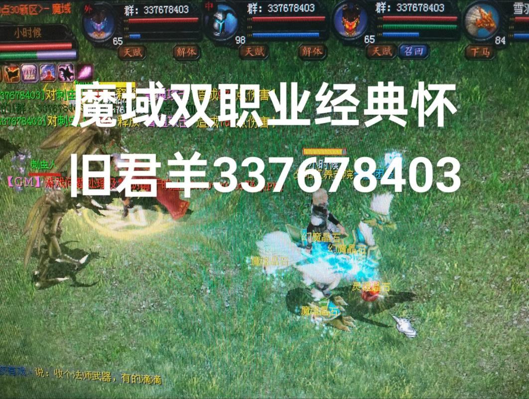 魔域私服老玩家分享：不用外挂也能玩得爽的技巧？  第4张