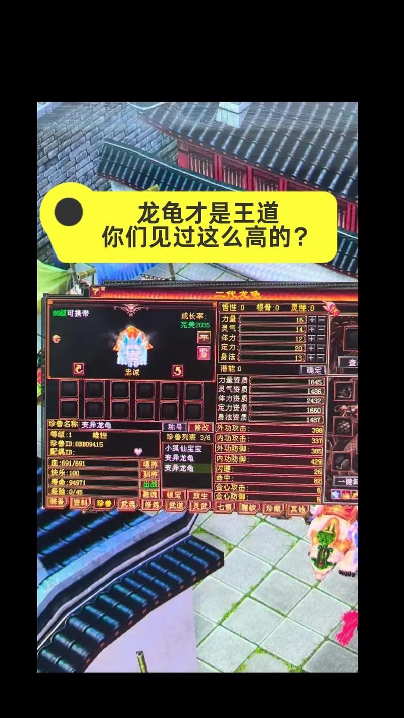 玩天龙sf遇问题咋办？这里有独特玩法及自定义丰富度揭秘