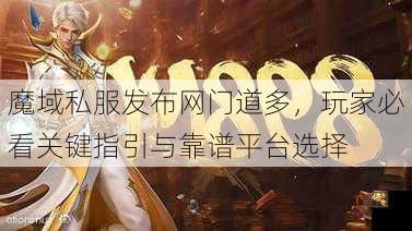 魔域私服发布网门道多，玩家必看关键指引与靠谱平台选择