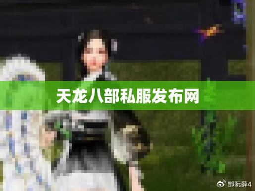 【天龙八部私服发布网】玩家必备攻略，最新资源&交流平台