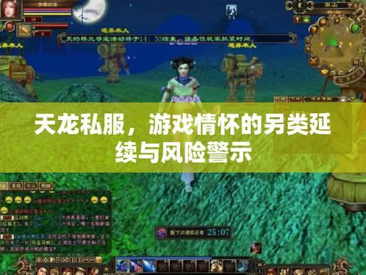 玩家必看！天龙私服稳定与否受多因素限制，运行常波动？