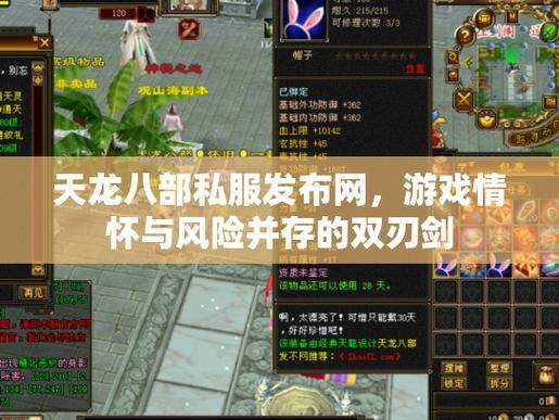 天龙八部私服发布网靠谱吗？使用方法及注意事项全解析  第4张