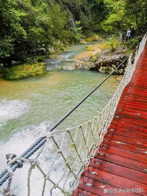 魔域sf哪个稳定？这些避坑指南和寻找稳定魔域sf的方法请查收