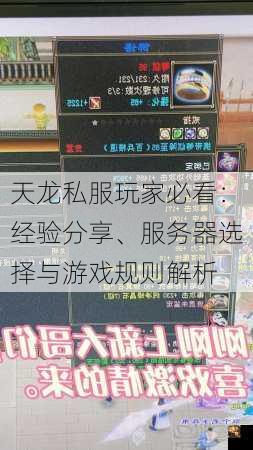 天龙私服玩家必看：经验分享、服务器选择与游戏规则解析