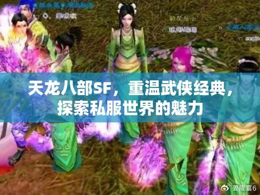 天龙八部私服：玩家经验分享，武侠世界挑战与社交互动  第4张