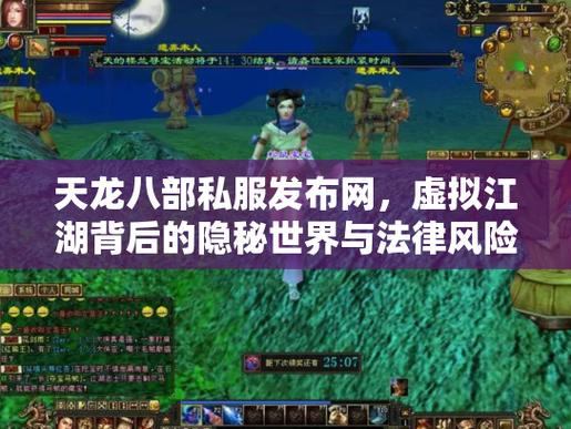 天龙八部SF私服攻略：服务稳定性、风险与安全准备全解析