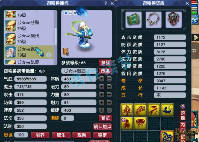 梦幻西游私服揭秘：别碰这些坑，安全风险与避雷指南