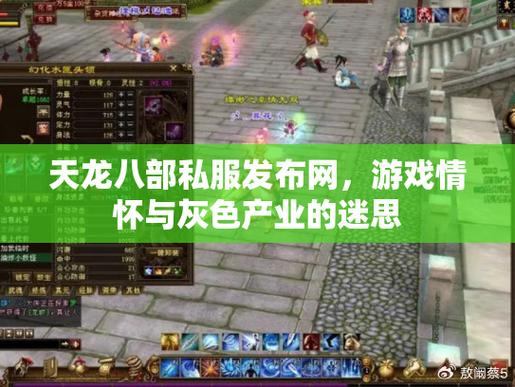 天龙八部私服：畅快体验vs官方差异，玩家必看攻略