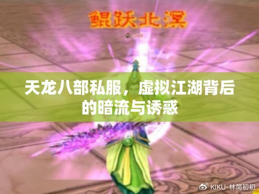 天龙八部私服：超高爆率背后，非法服务器的风险与诱惑