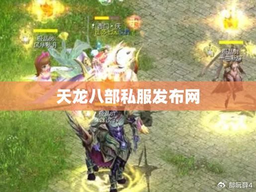 天龙八部私服发布网：多样化选择，稳定高效服务器，安全可靠环境