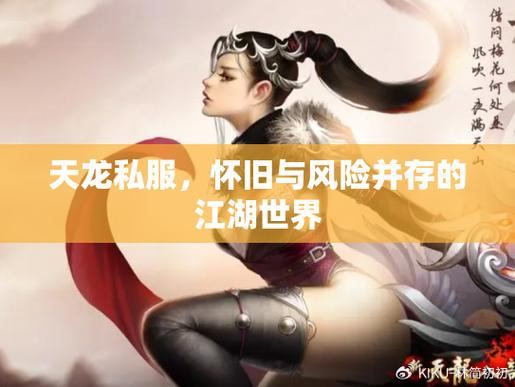 想玩天龙私服？这些问题要注意，别被浮夸宣传骗了  第1张