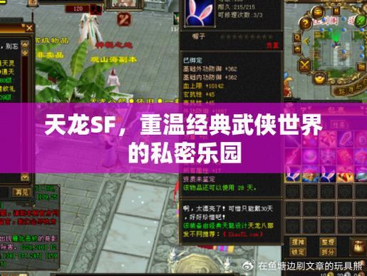 天龙私服冒险指南：分享技巧、选择角色，探索广阔世界