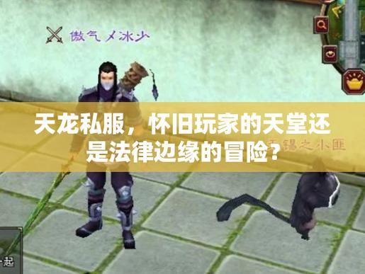 深入剖析天龙sf：运行主体与稳定性差异，助玩家解惑  第2张