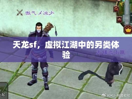 深入剖析天龙sf：运行主体与稳定性差异，助玩家解惑  第4张