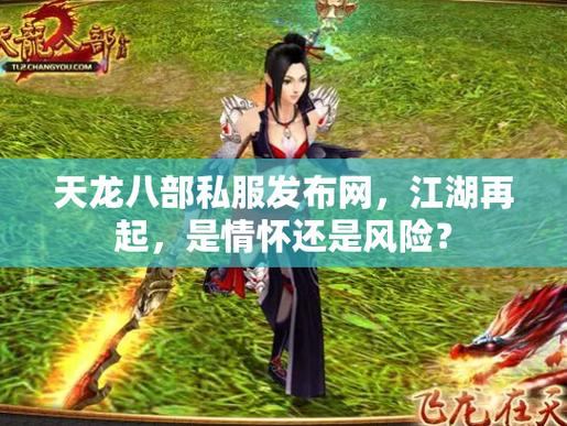 天龙八部私服发布网安全吗？如何辨别优秀私服发布网？  第4张